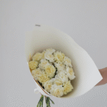 Монобукет из 19 диантусов