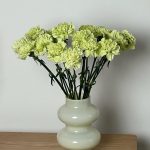 Гвоздика Зеленая, 20 шт.