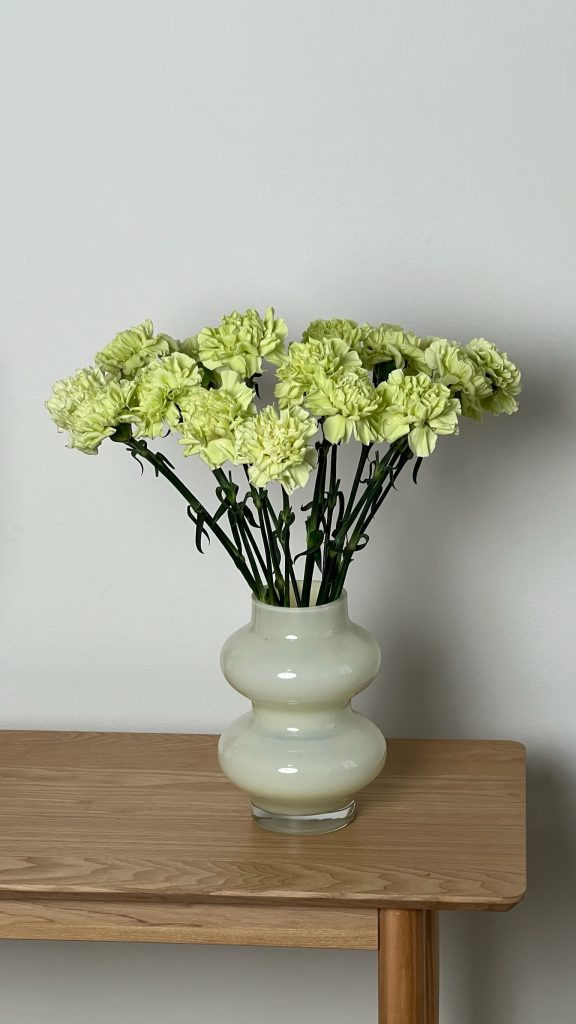 Гвоздика Зеленая, 20 шт.