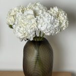 Гортензия белая, 5 шт.