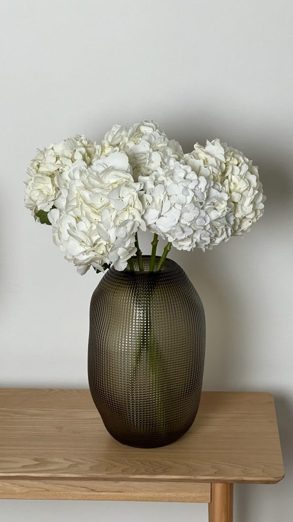 Гортензия белая, 5 шт.