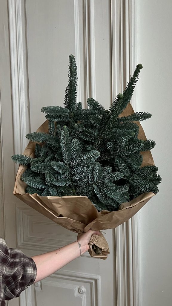 Нобилис, 5 шт.