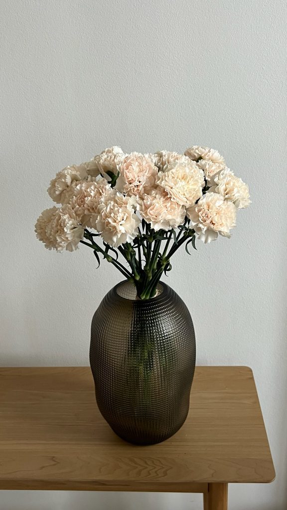 Гвоздика Брют, 20 шт.