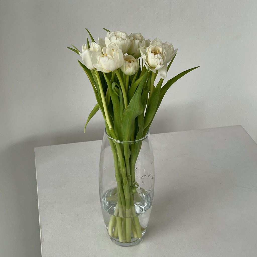 Тюльпан белый пионовидный 10 шт.