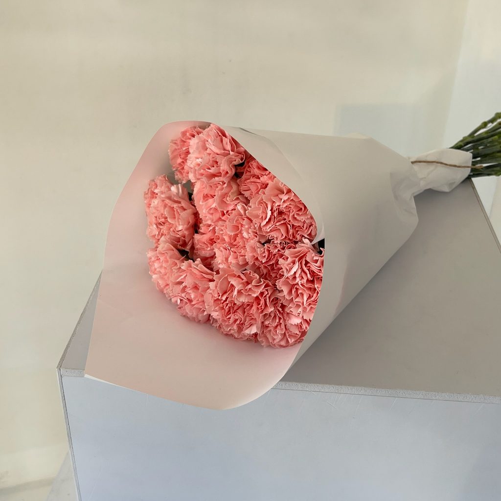 Гвоздика Розовая 20 шт.