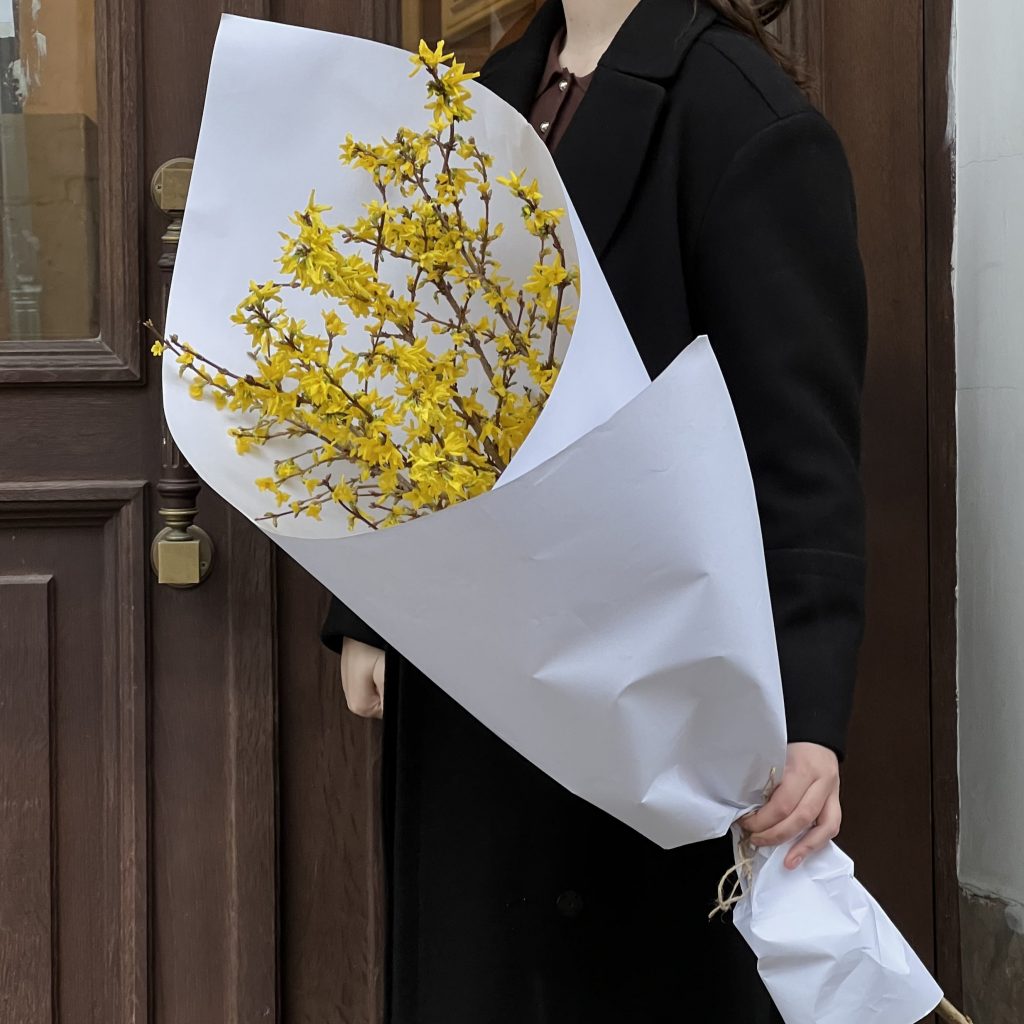 Форзиция 5 шт.