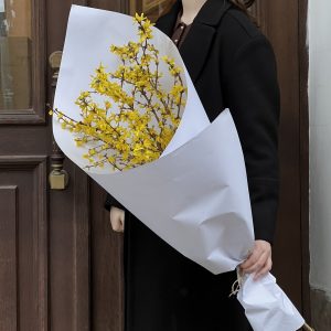 Форзиция 5 шт.