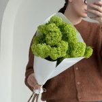 Вибурнум 5 шт.