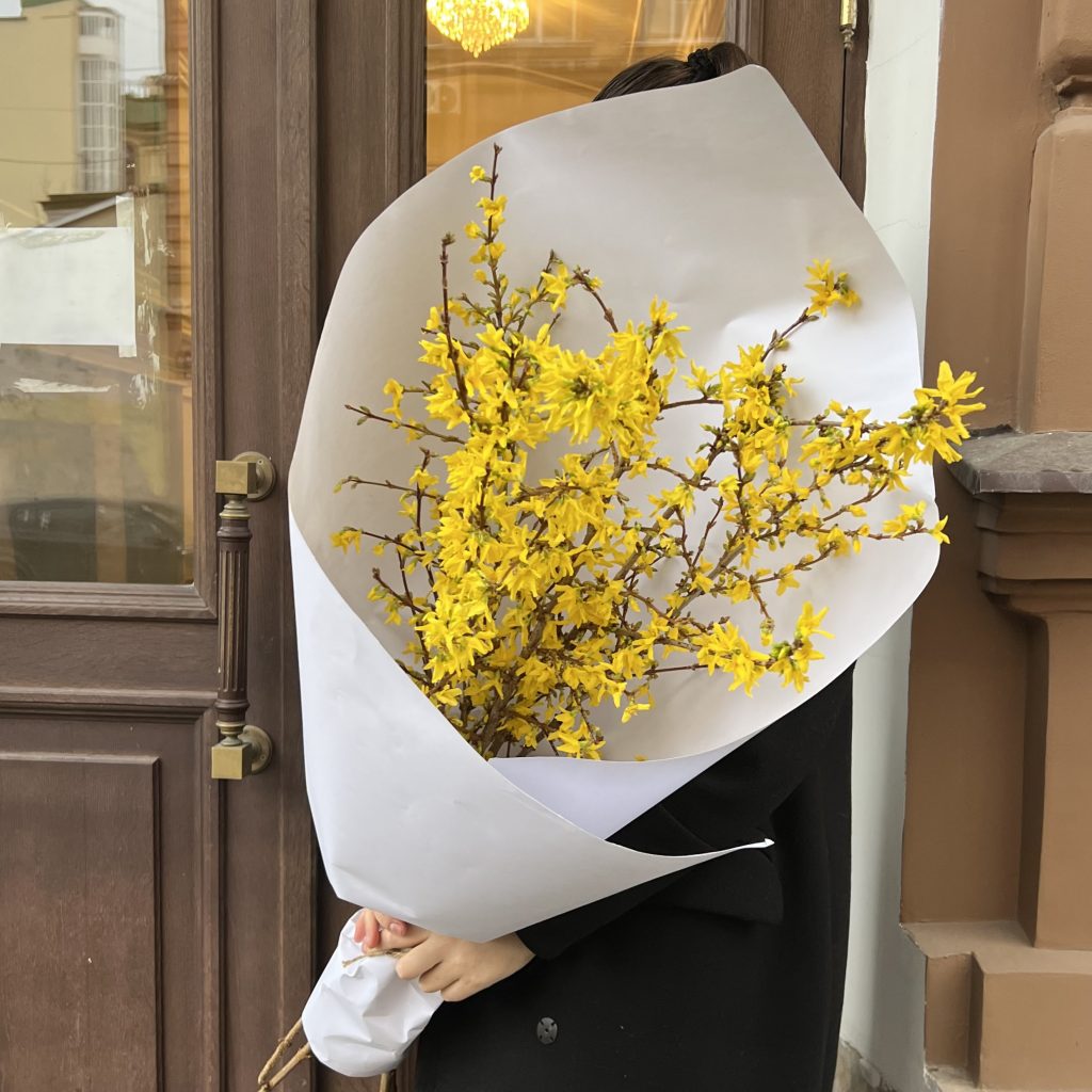 Форзиция 5 шт.