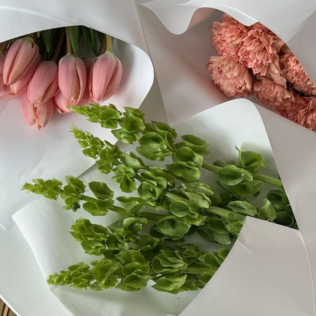 Сет персиковый