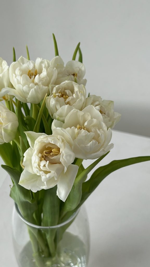 Тюльпан белый пионовидный 10 шт.