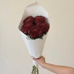 Хризантема Бигуди бордовая 5 шт.